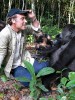 Gorilla Reunion