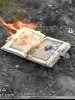Girl arrested for allegedly burning Qur’an!!!