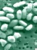 Doing Science – Arsenic and Aliens