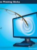 Who gets phished and why?