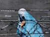 Taliban cut nursing woman’s breast, asked others to eat pieces