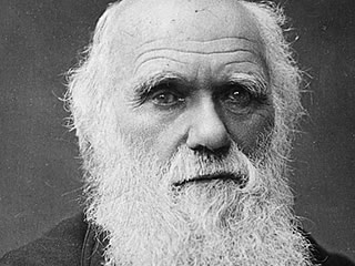 Darwin Racist
