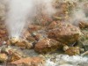 Evolution – Some new discoveries