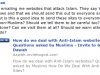 A day-trip into Islamic Insanity
