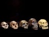 Are we still evolving? – New study says “Yes” … but I still have a couple of questions.