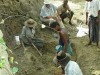An Asian Origin for Human Ancestors?