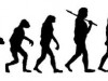 Evolution – Is it just a theory?