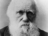 Charles Darwin got 4,000 votes in the last US election