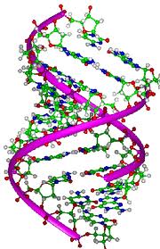 Breakthrough Discovery Junk Dna Plays A Crucial Role This Changes Everything - oau4q5l