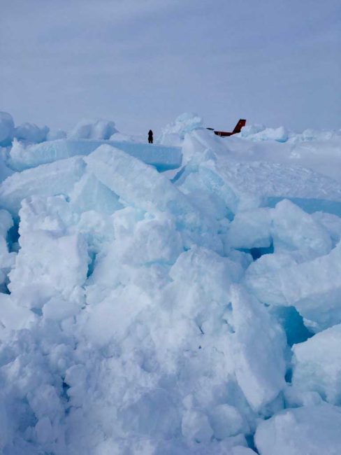 sea ice