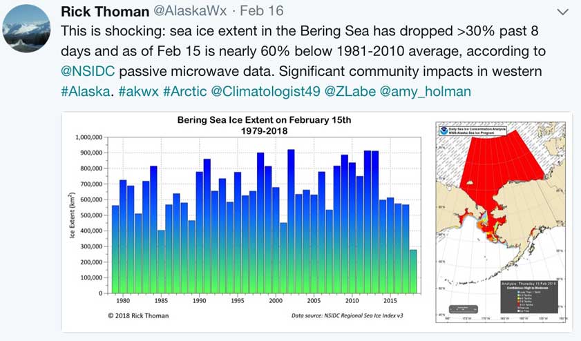 sea ice