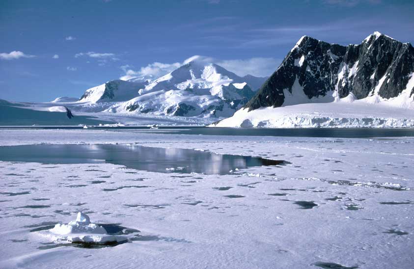 antarctic