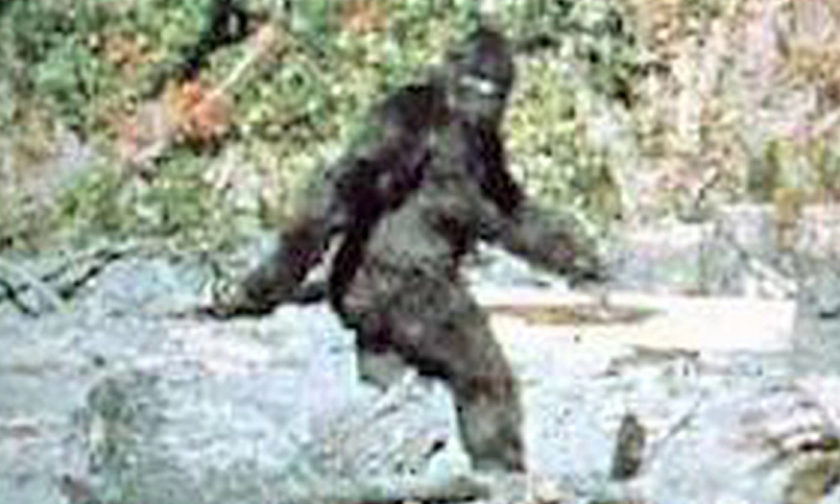 bigfoot