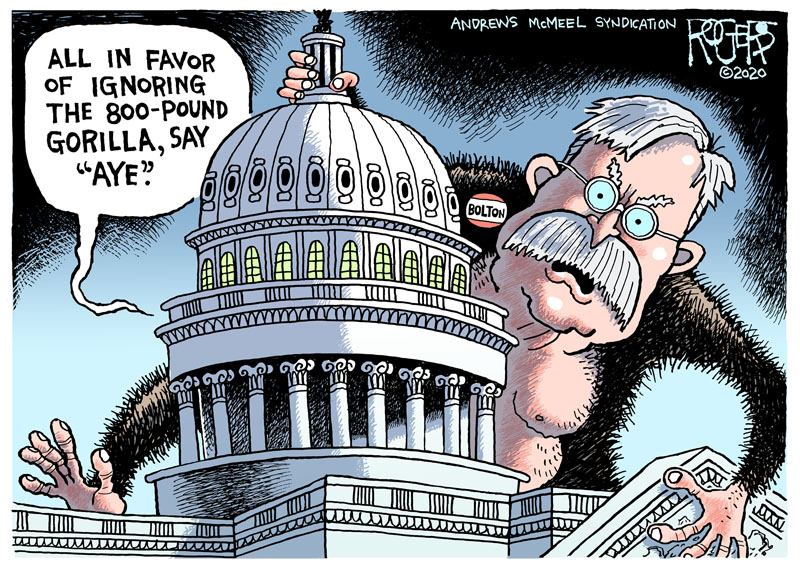 wingnut senate