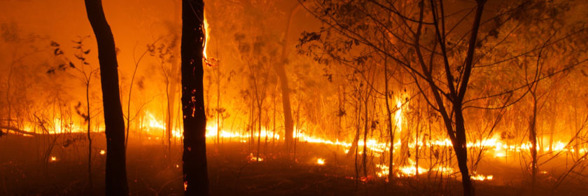 bushfires