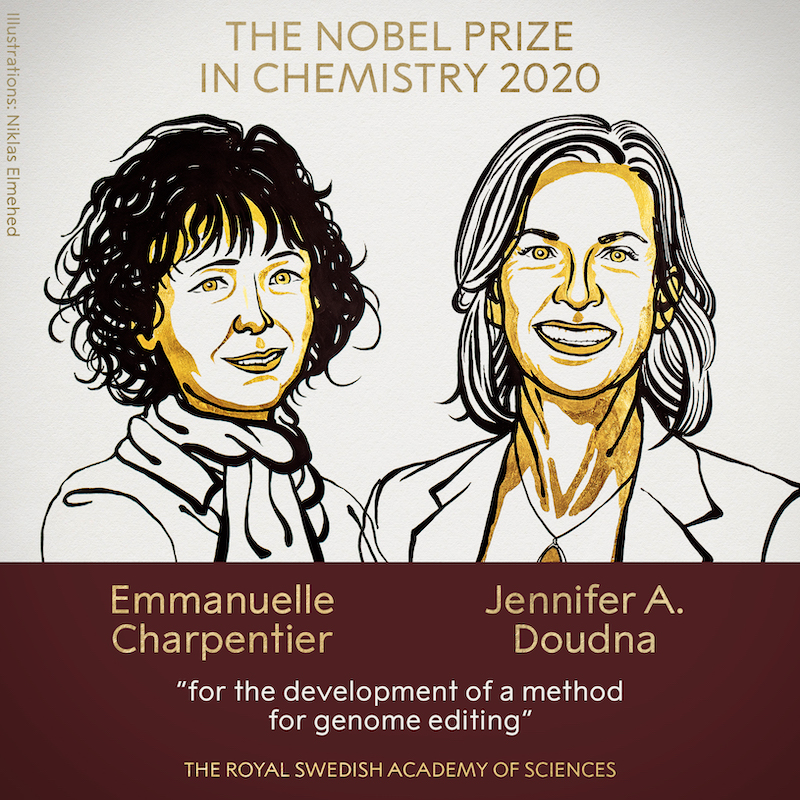 nobel
