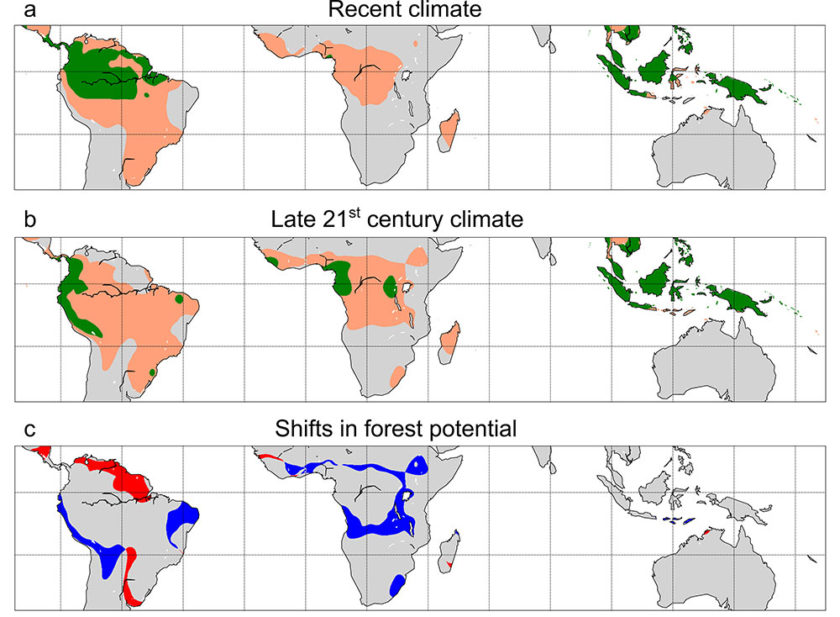 Amazon near tipping point of switching from rainforest to savannah study LaptrinhX / News