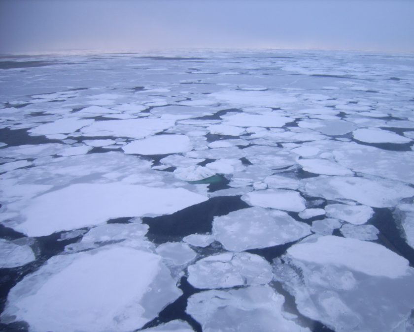 Laptev Sea Ice in the Arctic