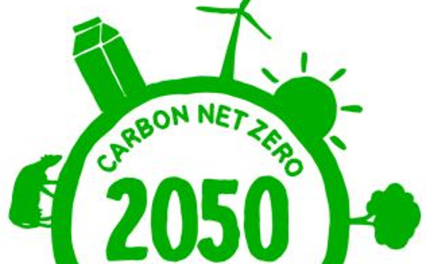 net zero