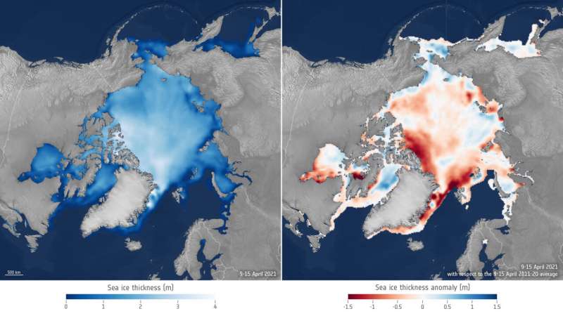 sea ice